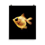 Goldfish Poster-4