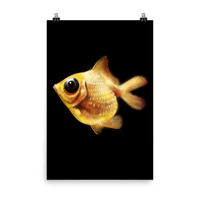 Goldfish Poster - Thumbnail 10