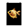 Goldfish Poster-6