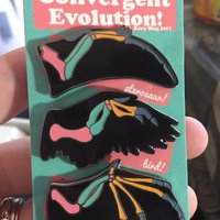 Convergent Evolution of Flight Glow-in-the-dark Enamel Pins - Thumbnail 1
