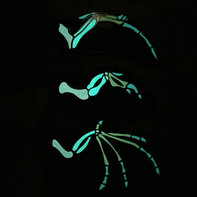 Convergent evolution of flight glow-in-the-dark enamel pins