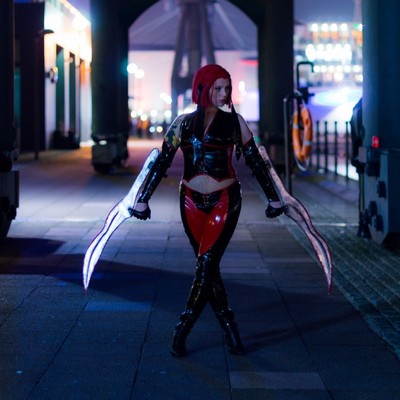 Blood rayne swords drawn a4 signed print