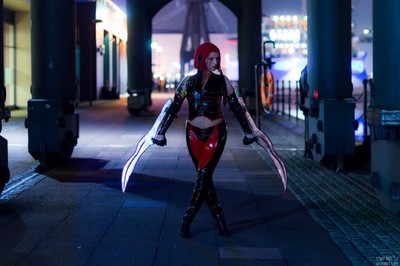 Blood Rayne Swords Drawn A4 Signed Print