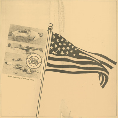 Brown sugar: sings of birds and racism lp