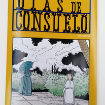 DIAS DE CONSUELO 4 - comic
