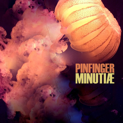 Pinfinger "minutiæ"