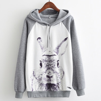 Cute Kawaii Autumn Winter Harajuku Printed Hooded Sweatshirt - Thumbnail 1