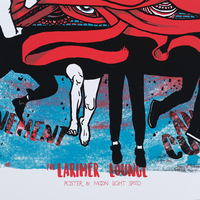 Sheer Mag and Tenement at Larimer Lounge, Denver, Colorado - Thumbnail 3