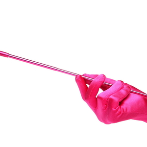 Pink Extendable Cigarette Holder and Long Satin Glove Costume Accessory Set
