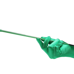Green Extendable Cigarette Holder and Long Satin Glove Costume Accessory Set