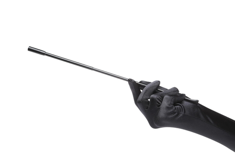 Black Extendable Cigarette Holder and Long Satin Glove Costume Accessory Set