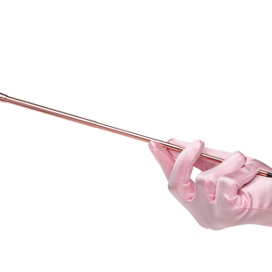 Baby Pink Extendable Cigarette Holder and Long Satin Glove Costume Accessory Set