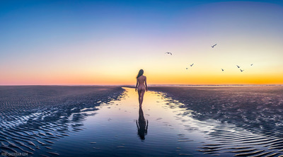 wander (14) [Grayland Beach, WA] large print (22" x 17")