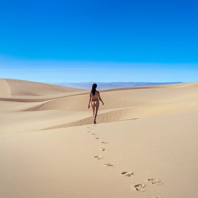 Wander (15) [oregon dunes, or] large print (17" x 22")