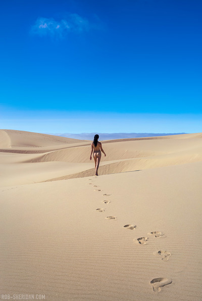 wander (15) [Oregon Dunes, OR] large print (17" x 22")