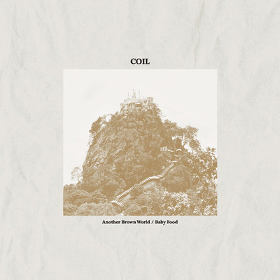 Coil "another brown world" 12" - Thumbnail 5