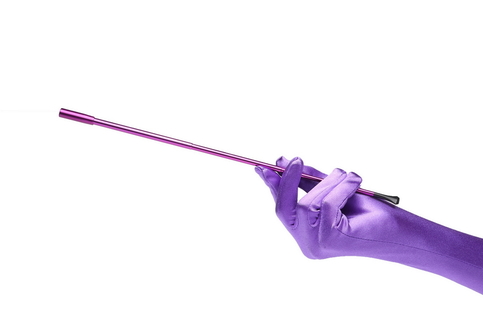 Purple Extendable Cigarette Holder and Long Satin Glove Costume Accessory Set