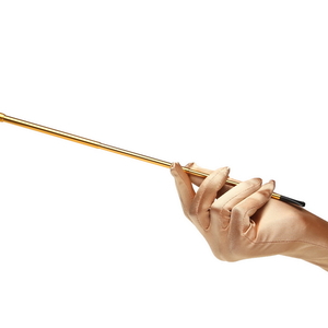 Gold Extendable Cigarette Holder and Long Satin Glove Costume Accessory Set