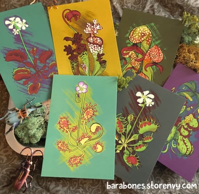 Carnivorous Plants prints