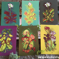 Carnivorous Plants prints - Thumbnail 2