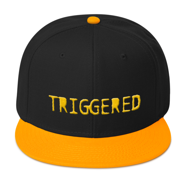 Triggered Snapback Hat