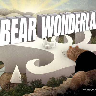 Bear wonderland