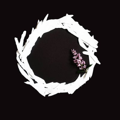 I hate sex - circle thinking 12"