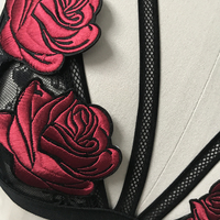 Sexy Sheer Black Lace Floral Embroidery Bralette Bra - Thumbnail 2