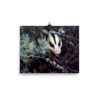 Brokkoli ☆ Poster - Thumbnail 7