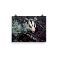 Brokkoli ☆ Poster - Thumbnail 10