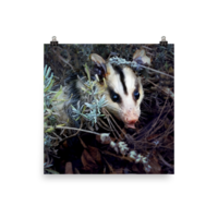 Brokkoli ☆ Poster - Thumbnail 11