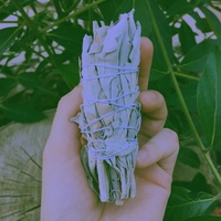 White Sage Bundle - Thumbnail 3