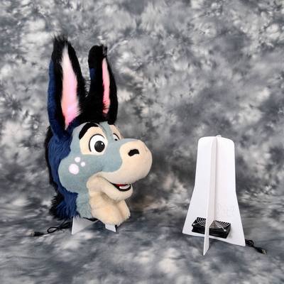 Kit3: head and 4 paws