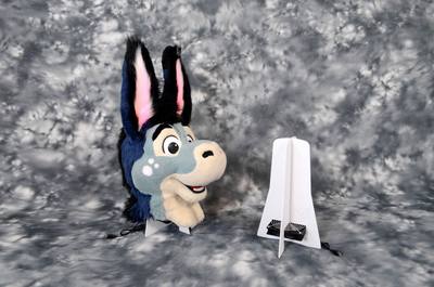 Kit3: Head and 4 Paws