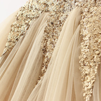 Celebration Dress (Champagne) - Thumbnail 2