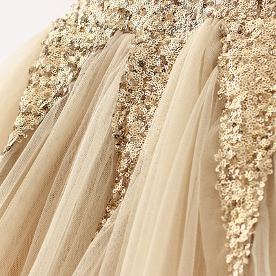 Celebration dress (champagne)