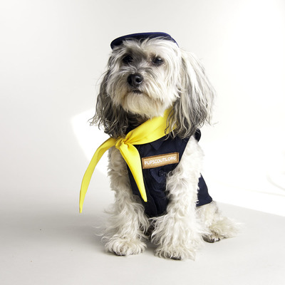 Pupscout boy sleeveless uniform by toni mari