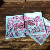 Providence (Sunday) Wipeout #3