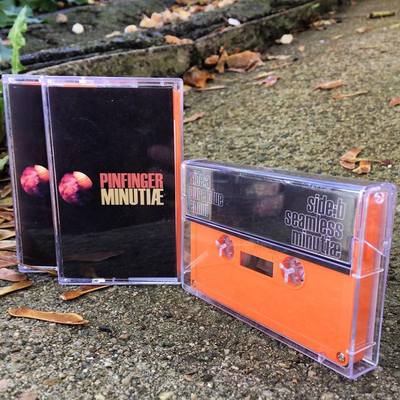 Pinfinger "minutiæ"