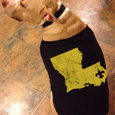 Saints fan dog shirts