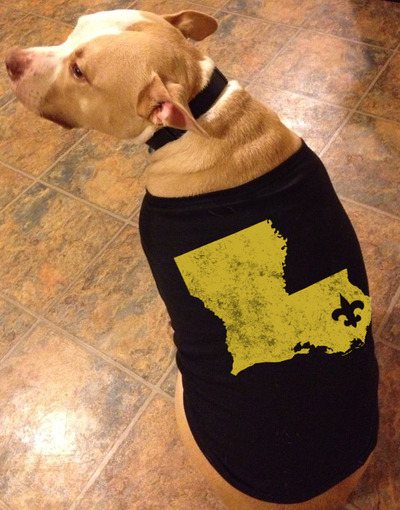 Saints Fan Dog Shirts
