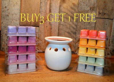BUY 3 GET 1 FREE CLAMSHELL WAX MELTS