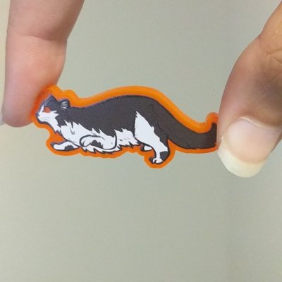 Cookie cat pin