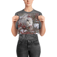 Snowpossum ☆ Poster - Thumbnail 3