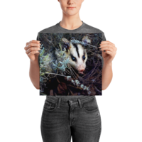 Brokkoli ☆ Poster - Thumbnail 5