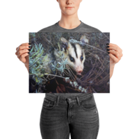 Brokkoli ☆ Poster - Thumbnail 7