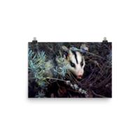 Brokkoli ☆ Poster - Thumbnail 10