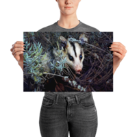 Brokkoli ☆ Poster - Thumbnail 11