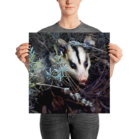 Brokkoli ☆ Poster - Thumbnail 13