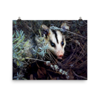 Brokkoli ☆ Poster - Thumbnail 14